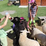 La Petite Ferme De - Parc Animalier - Aire De Loisirs ベッド・アンド・ブレックファスト Pouillon