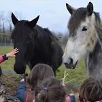 La Petite Ferme De - Parc Animalier - Aire De Loisirs ベッド・アンド・ブレックファスト 3*
