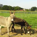 La Petite Ferme De - Parc Animalier - Aire De Loisirs ベッド・アンド・ブレックファスト Pouillon