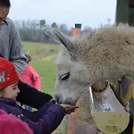 La Petite Ferme De - Parc Animalier - Aire De Loisirs 3*