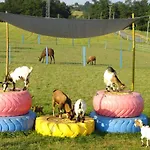 La Petite Ferme De - Parc Animalier - Aire De Loisirs ベッド・アンド・ブレックファスト Pouillon