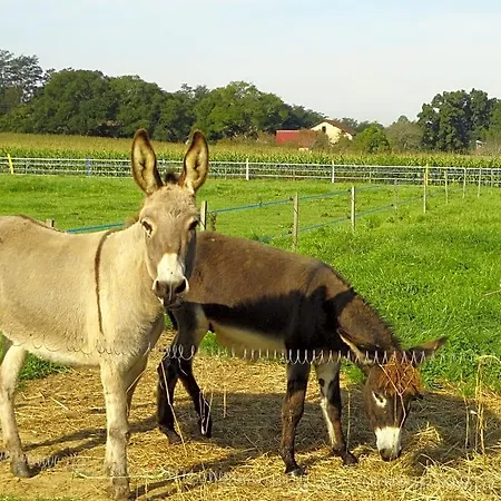 La Petite Ferme De - Parc Animalier - Aire De Loisirs