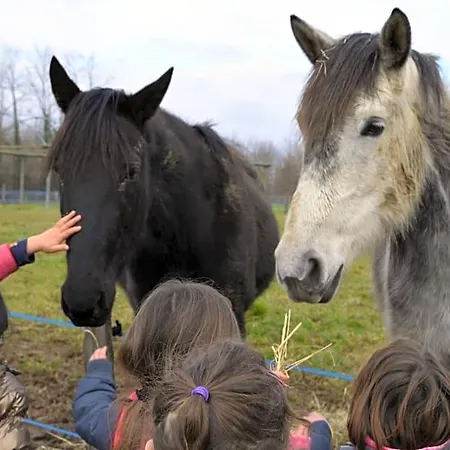 La Petite Ferme De - Parc Animalier - Aire De Loisirs 3* Pouillon