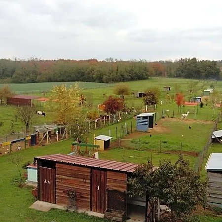 Couette-café La Petite Ferme De - Parc Animalier - Aire De Loisirs