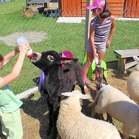 La Petite Ferme De - Parc Animalier - Aire De Loisirs Bed and Breakfast