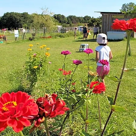 La Petite Ferme De - Parc Animalier - Aire De Loisirs Pouillon