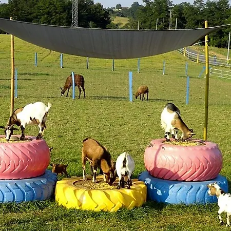 Couette-café La Petite Ferme De - Parc Animalier - Aire De Loisirs