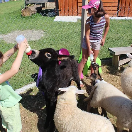 La Petite Ferme De - Parc Animalier - Aire De Loisirs Couette-café Pouillon