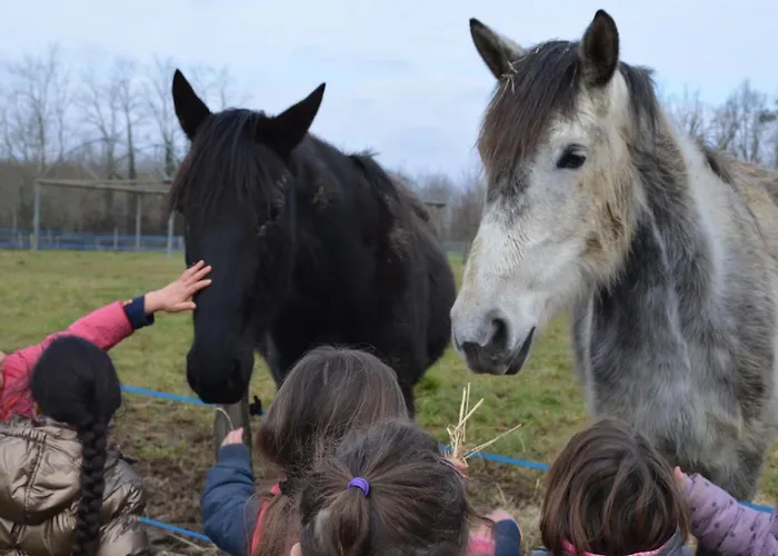 La Petite Ferme De - Parc Animalier - Aire De Loisirs Couette-café 3*