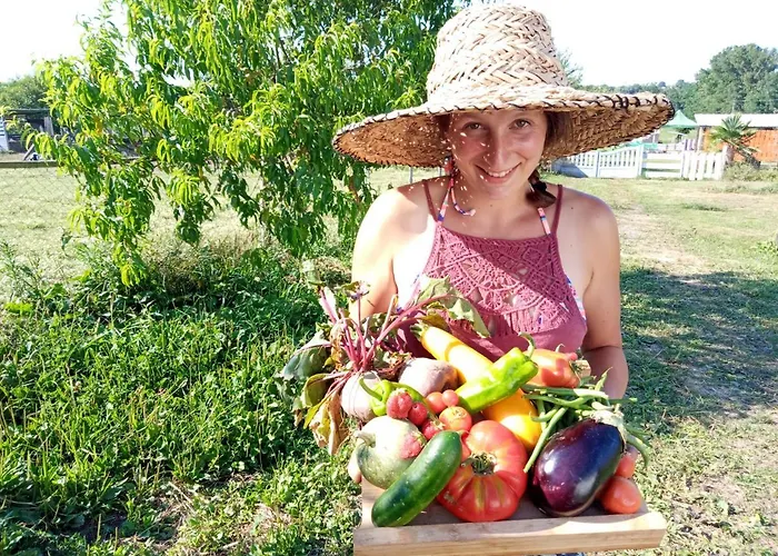 La Petite Ferme De - Parc Animalier - Aire De Loisirs Pouillon